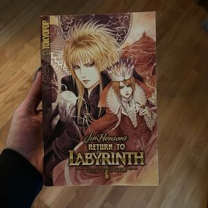 Book- Return to Labyrinth series number 1